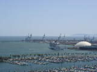 Race Day Long Beach 