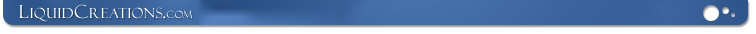 LiquidCreations.com - Enterprise Application Development Firm